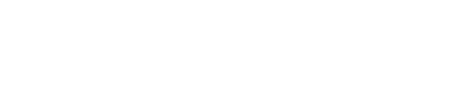 logo-van-rees-automotive_textlogo_wit_2